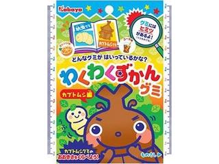 カバヤ わくわくずかんグミ カブトムシのクチコミ 評価 カロリー 値段 価格情報 もぐナビ